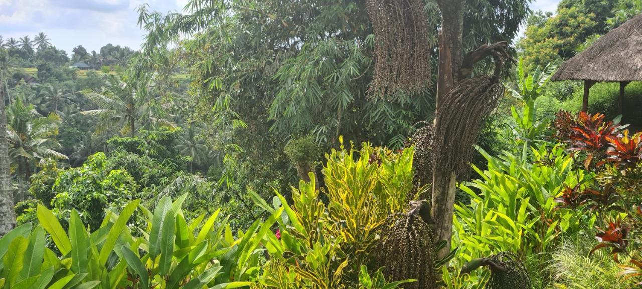 Rumah Sungai Villa Ubud Eksteriør bilde