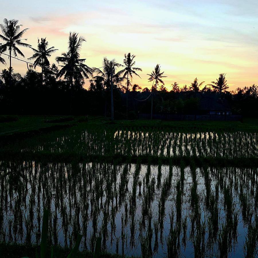 Rumah Sungai Villa Ubud Eksteriør bilde