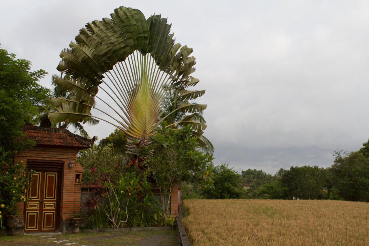 Rumah Sungai Villa Ubud Eksteriør bilde