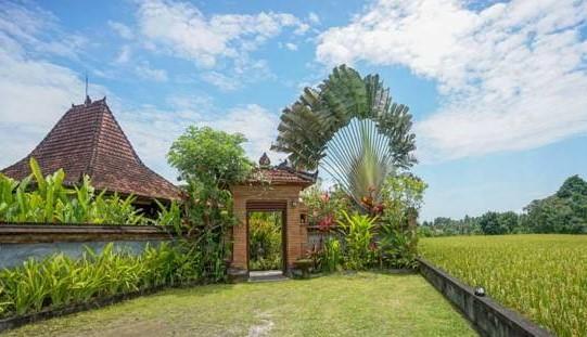 Rumah Sungai Villa Ubud Eksteriør bilde
