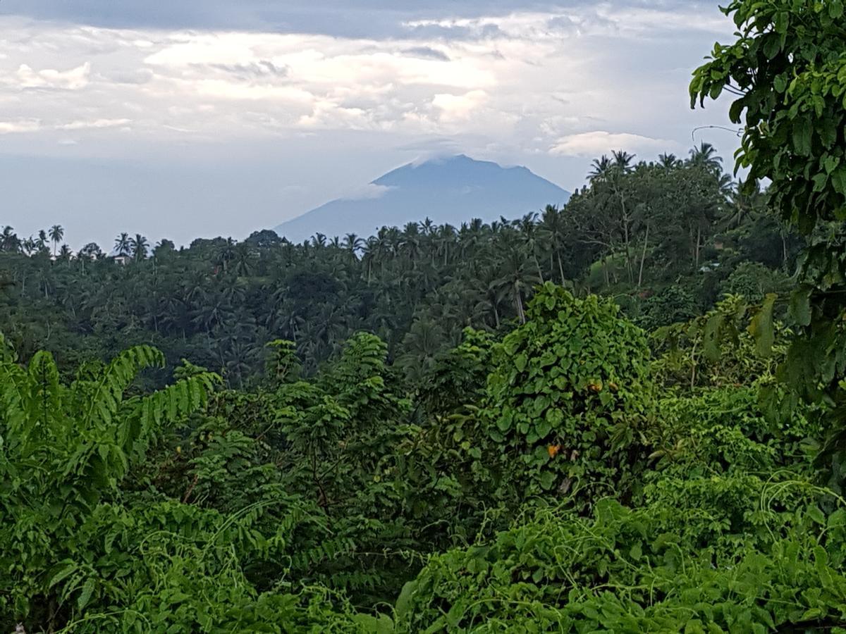 Rumah Sungai Villa Ubud Eksteriør bilde