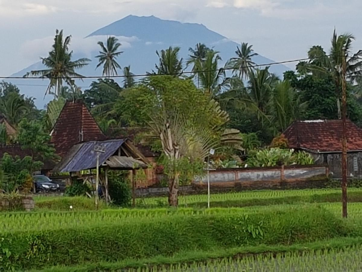 Rumah Sungai Villa Ubud Eksteriør bilde