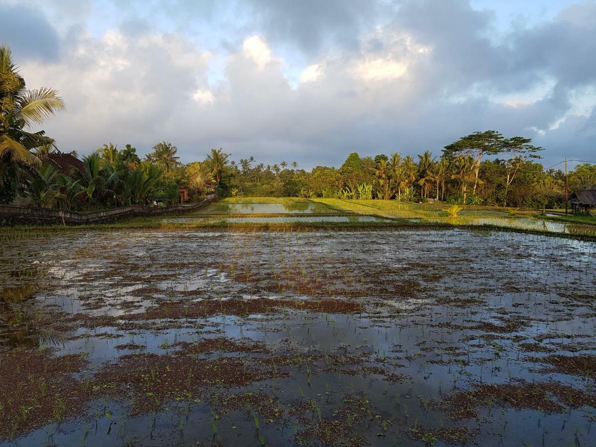 Rumah Sungai Villa Ubud Eksteriør bilde